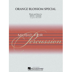         Fantasia On A Theme By Thomas Tallis - Ralph Vaughan Williams / Arr. Jay Bocook
    
