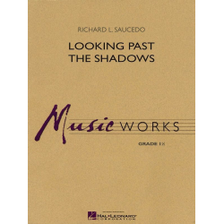         Looking Past the Shadows - Richard L. Saucedo
    