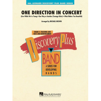 One Direction In Concert