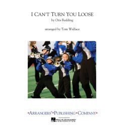         I Can't Turn You Loose - Jay Dawson
    