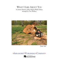         What I Like About You - Tom Wallace
    