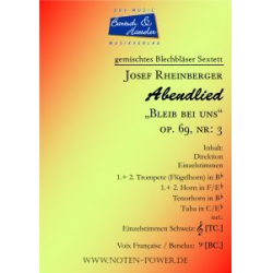         Abendlied, op. 69, Nr. 3 - Josef Gabriel Rheinberger / Arr. Achim Graf Peter Welte
    