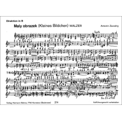         Maly obrazek (Kleines Bildchen) - Antonin Zavodny
    