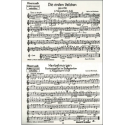         Herbstmorgen / Die ersten Veilchen - Heinrich Steinbeck
    