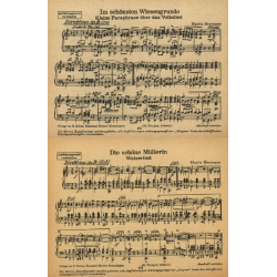         Die schöne Müllerin / Im schönsten Wiesengrunde - Martin Herrmann
    