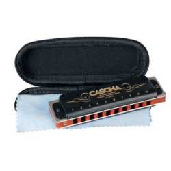         Professional Blues Harmonica in C
    