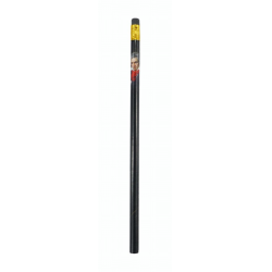         Bleistift Beethoven
    