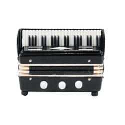         Magnet Akkordeon 5.5 x 4 cm
    