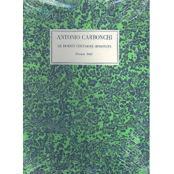         Le dodici chitarre spostate - Antonio Carbonchi
    