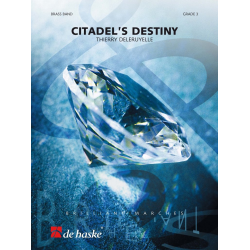         Citadel's Destiny - Thierry Deleruyelle
    