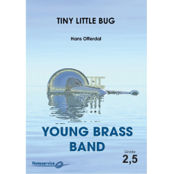         Tiny Little Bug - Hans Offerdal
    