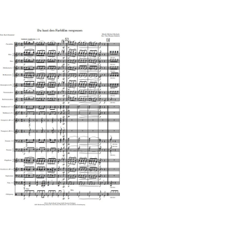 Du hast den Farbfilm vergessen