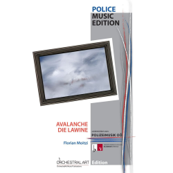         Avalanche - Florian Moitzi
    