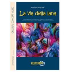         LA VIA DELLA LANA - Luciano Feliciani
    