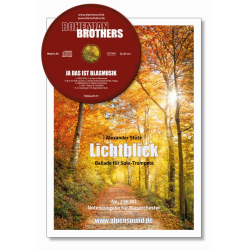         Lichtblick - Alexander Stütz / Arr. Alexander Pfluger
    