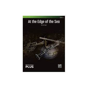 At the Edge of the Sea