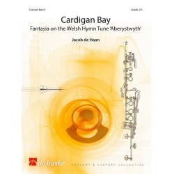         Cardigan Bay - Jacob de Haan
    