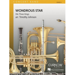         Wondrous Star - Timothy Johnson
    