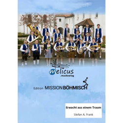         Erwacht aus einem Traum - Stefan Albert Frank
    