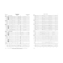         Capstone - Tyler Arcari
    