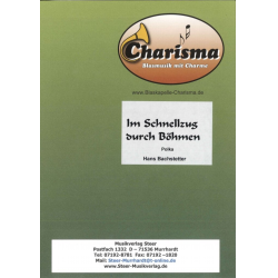         Im Schnellzug durch Böhmen - Hans Bachstetter
    