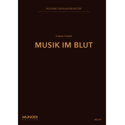         Musik im Blut - Tobias Psaier
    