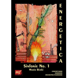         SINFONIE No. 1 1. Satz: Bioenergie - Mario Bürki
    