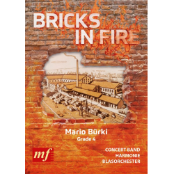         BRICKS IN FIRE - Mario Bürki
    