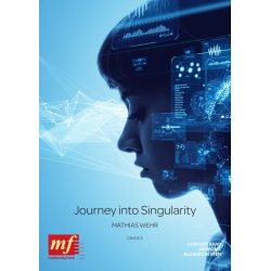         JOURNEY INTO SINGULARITY - Mathias Wehr
    