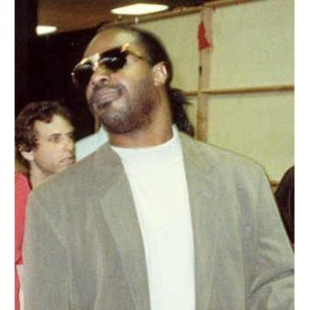 Stevie Wonder
